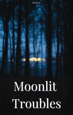 Moonlit Troubles