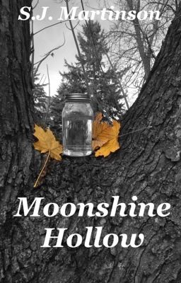 Moonshine Hollow