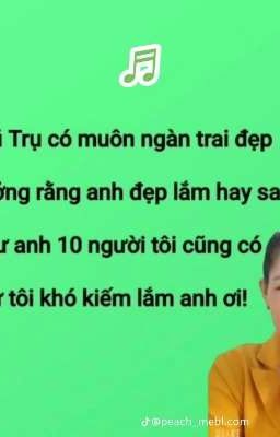 Một đoá hoa hồng