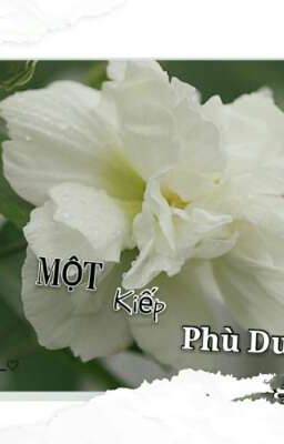 Một Kiếp Phù Dung