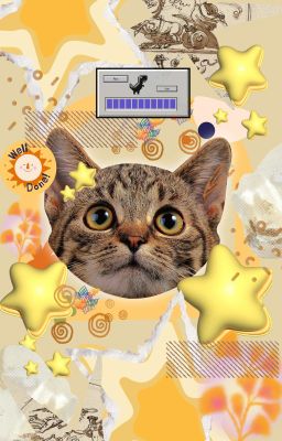 một ngày nọ tuyển thủ P không săn cộng tươi nữa