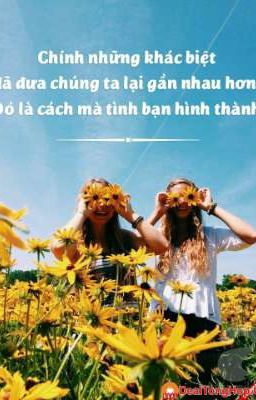 Một tình bạn đẹp.