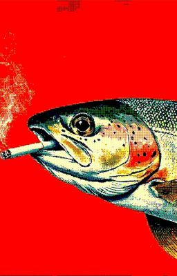 Mr Fish.