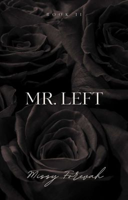 Mr. Left (Mr. Series #2)