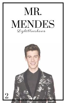 Mr. Mendes • Shawn Mendes