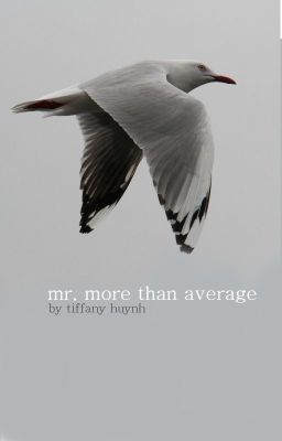 Mr. More Than Average (On Hold)