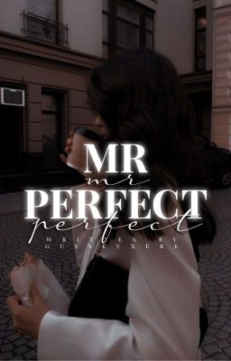 ✓ | Mr Perfect ¹ ━ Rumtreiber [de]