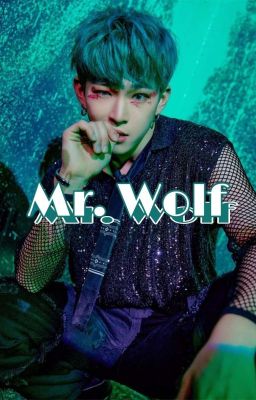 « Mr. Wolf » - Seodo ✔