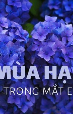 Mùa Hạ Trong Mắt Em