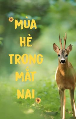 Mùa Hè Trong Mắt Nai