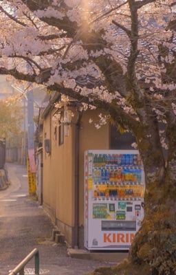 Mùa Hoa - Tiệm sách & cà phê 