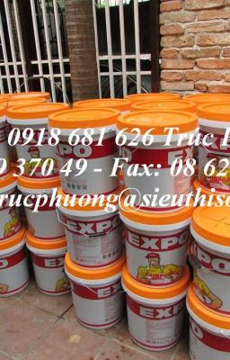 MUA SƠN NƯỚC NGOẠI THẤT EXPO RAINKOTE TH/18L GIÁ RẺ NHẤT TPHCM