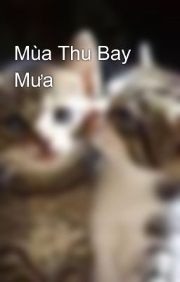 Mùa Thu Bay Mưa