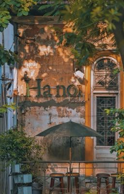 Mùa Xanh Sau Cuối