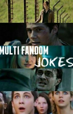 Multi-Fandom Jokes