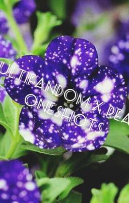 Multifandom X Reader Oneshots