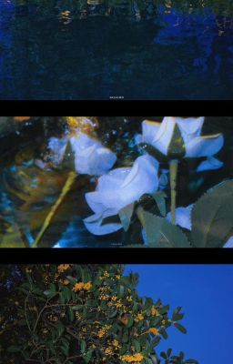 mười ngày thiếu vắng.