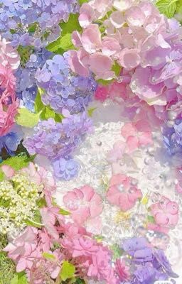 Muốn có được một cuộc sống màu Hồng nhưng tiếc là ông trời không cho phép 