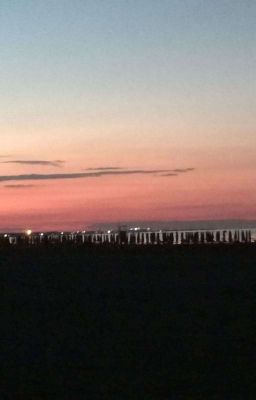 Musica e gattini🎶☕🐱