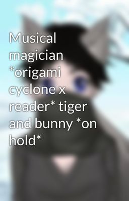 Musical magician *origami cyclone x reader* tiger and bunny *on hold*