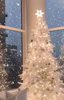 mutil couples | euphoria