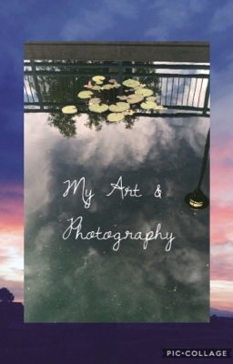 My Art and Photography 