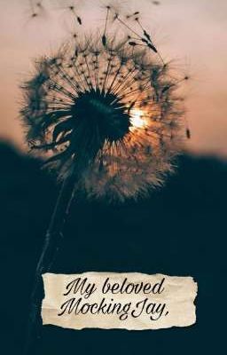 My beloved MockingJay
