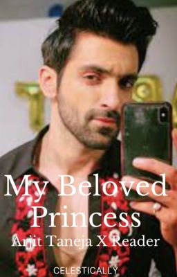 My Beloved Princess - Arjit Taneja x Reader