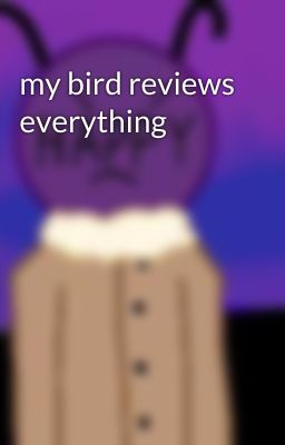my bird reviews everything