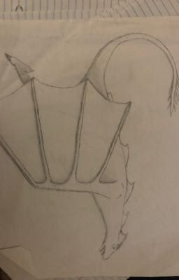 My Drawings