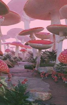 My Dreamcore/Weirdcore Oc's 
