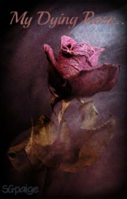 My Dying Rose...