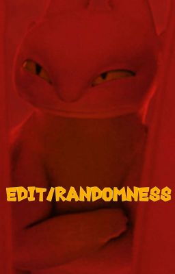 My Edits/Randomness Book