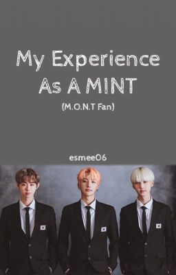 My Experience As A MINT