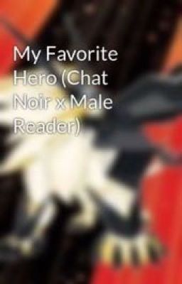 My Favorite Hero (Chat Noir x Male Reader)(Discontinued)