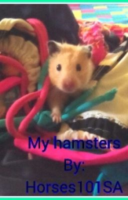 My hamsters