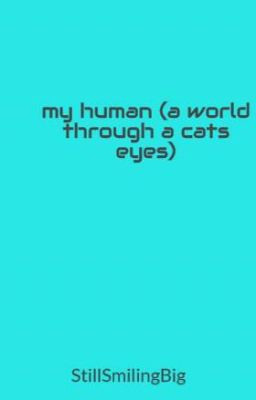 my human (a world through a cats eyes)