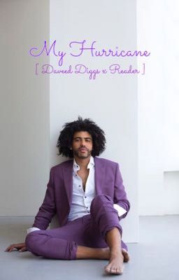 My Hurricane [ Daveed Diggs x Reader ]