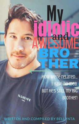 My Idiotic And Awesome Brother(Older Brother!Markiplier x Younger Sister!Reader)