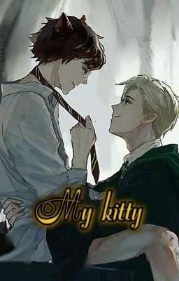 My Kitty || Drarry