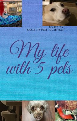 My life with 5 pets!