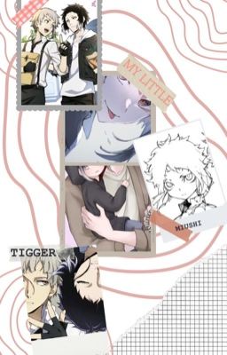 My little Tigger || Shin Soukoku