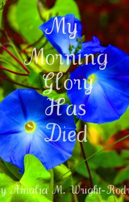 My Morning Glory Has Died (Oneshot)