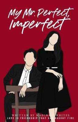 My Mr. Perfect, Imperfect [Perfect Series, Book 1]