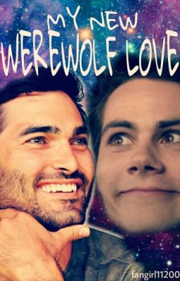 My New Werewolf Love (Sterek-FF)