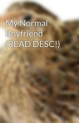 My Normal Boyfriend (READ DESC!)