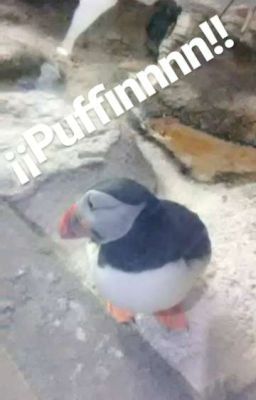 my oc