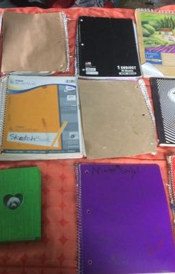 My old notebooks