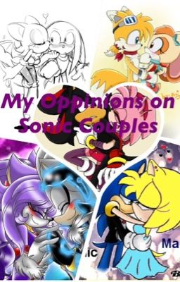 My opinions on Sonic Couples