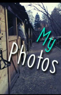 My Photos